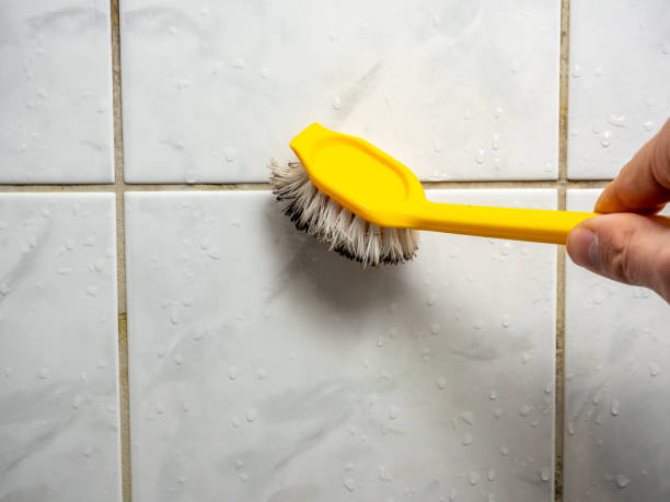 Best Home Mold Removal  in Citronelle, AL