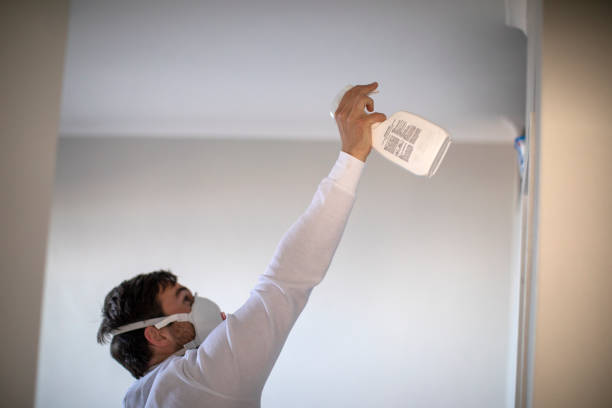Best Toxic Mold Removal  in Citronelle, AL