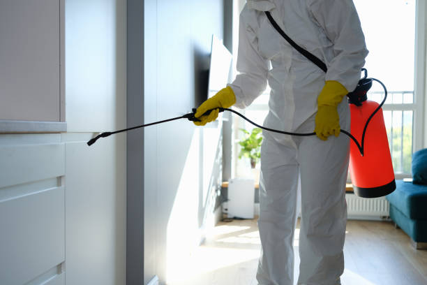 Best Mold Testing  in Citronelle, AL
