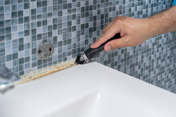Best Mold Testing  in Citronelle, AL