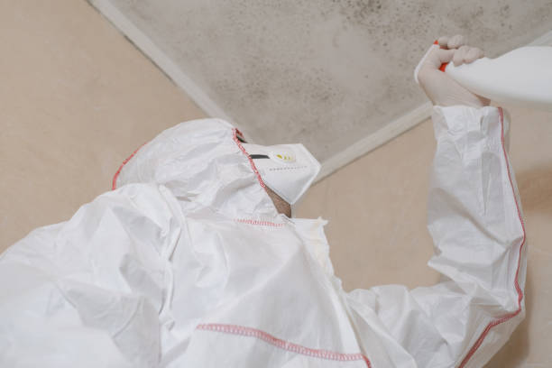 Mold Removal and Inspection in Citronelle, AL